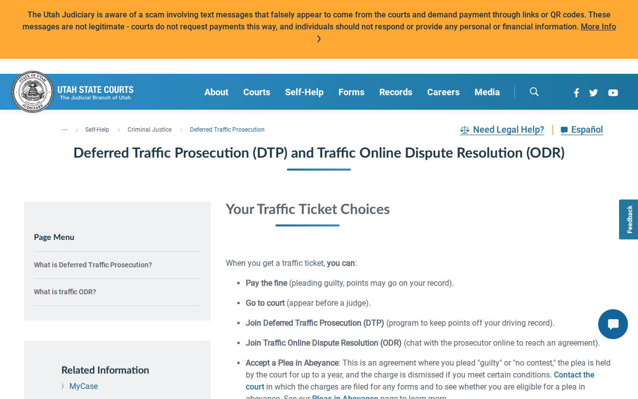 Iron County traffic ticket deferred program steps