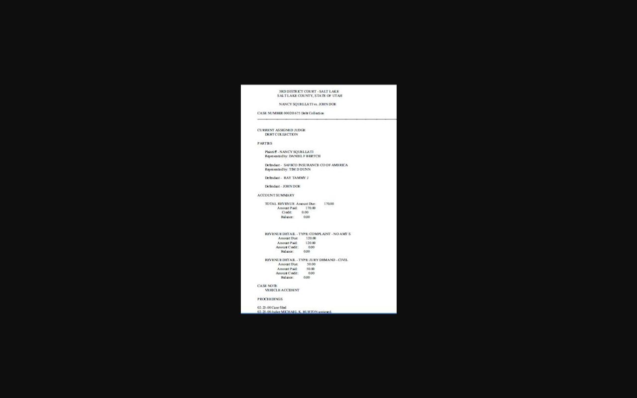 Iron County case lookup official sample case history